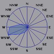 Wind Rose